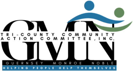 GMN Logo